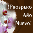 New Year Greetings In Spanish...
