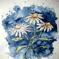 3 Daisies Flower Art Painting.