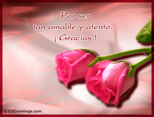 &Acirc;&iexcl; Gracias !