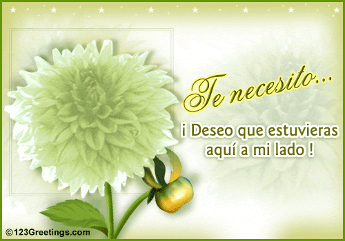 ? Te necesito !