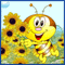 Flowers : Have A Beautiful Day