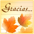 Gracias... Una etarjeta elegante para dar las gracias a todos los que han hecho su D&iacute;a De Acci&oacute;n De Gracias tan especial.