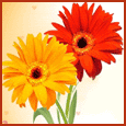 � Eres Muy Especial !