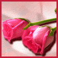 � Gracias !