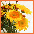 � Eres La Raz�n Para Sonre�r !